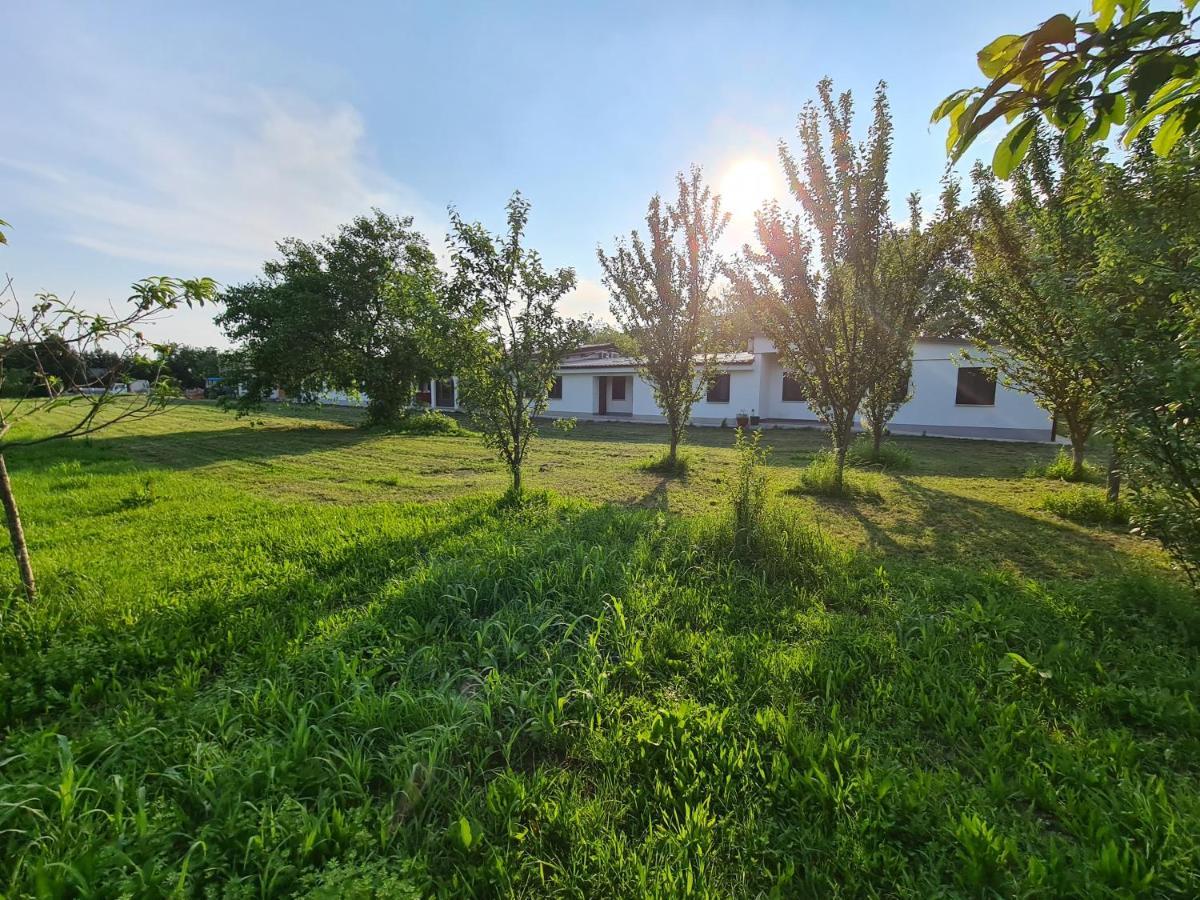 Agriturismo Ca Novak Venezia Villa Spinea Exterior photo